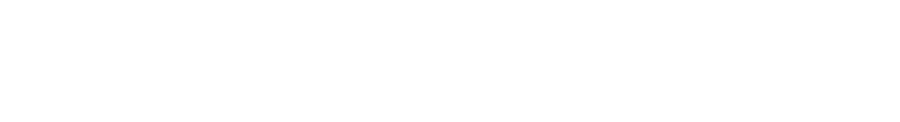 Belkin and ScreenSkinz